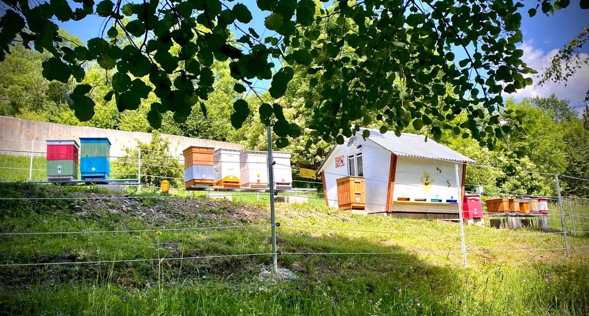 Apartmany Svrcinky Liptovský Mikuláš 외부 사진